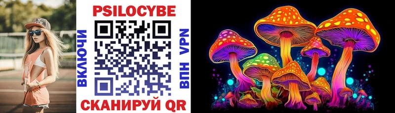 mega ONION  Новохопёрск  Псилоцибиновые грибы Psilocybine cubensis 